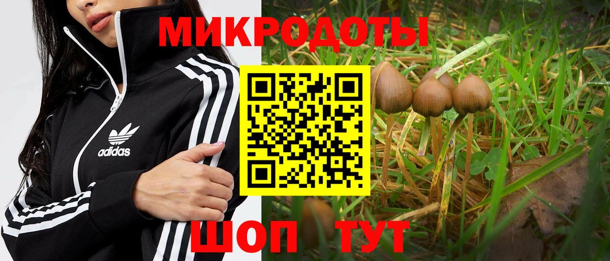 Галлюциногенные грибы Cubensis  Псилоцибиновые грибы Cubensis  Вход с VPN  Киселёвск 