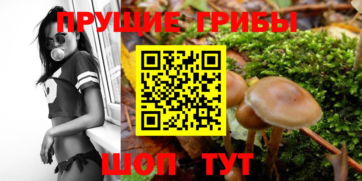 Галлюциногенные грибы ЛСД Киселёвск